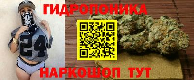 шишки Нарткала