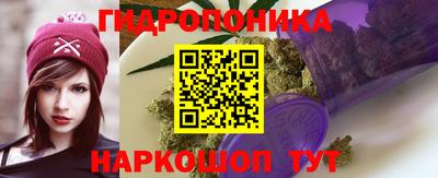 сатива Нальчик