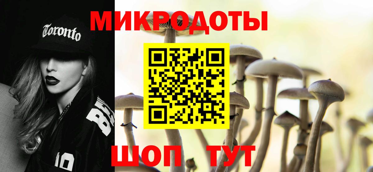 Псилоцибиновые грибы мицелий Черняховск