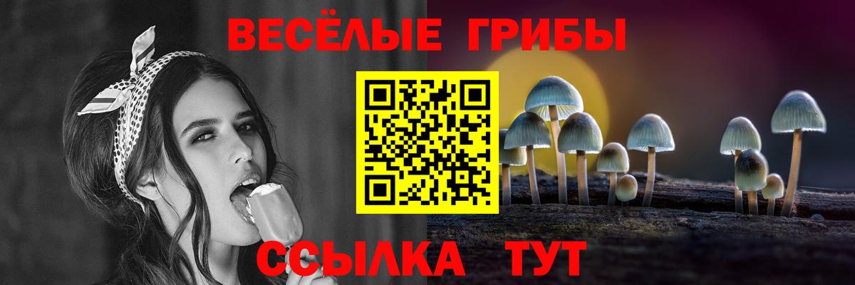 Черняховск  Псилоцибиновые грибы Psilocybine cubensis  купить  цена  Псилоцибиновые грибы MAGIC MUSHROOMS  Вход с VPN 